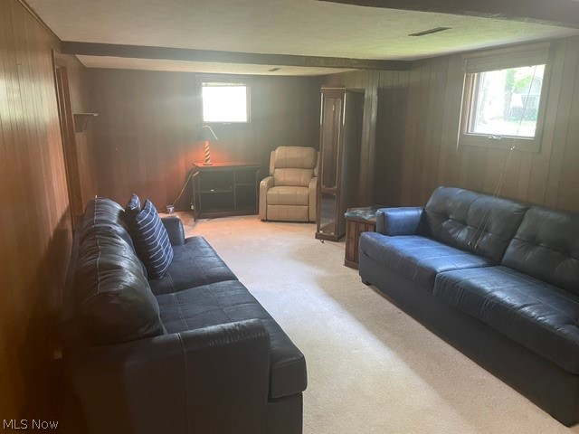 4937 Timberview Drive Vermilion OH 44089