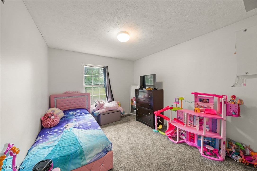 9545 Greenmeadow Road Windham OH 44288