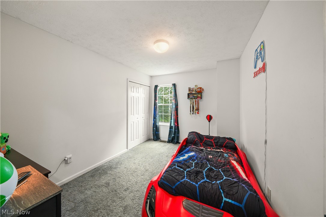 9545 Greenmeadow Road Windham OH 44288