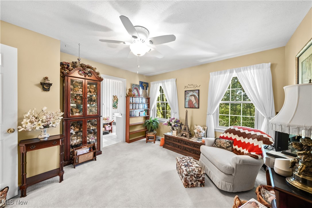 24 Morning Song Lane Hudson OH 44236