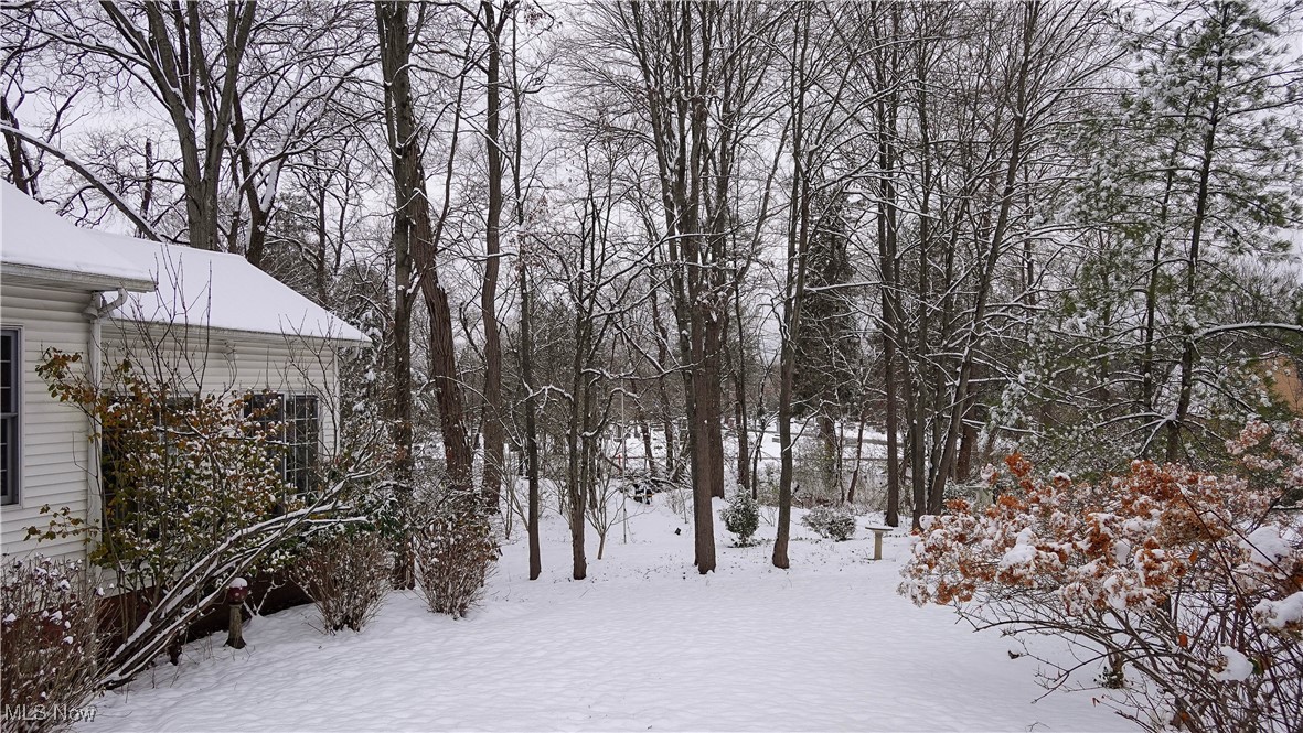 24 Morning Song Lane Hudson OH 44236