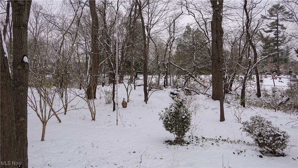 24 Morning Song Lane Hudson OH 44236