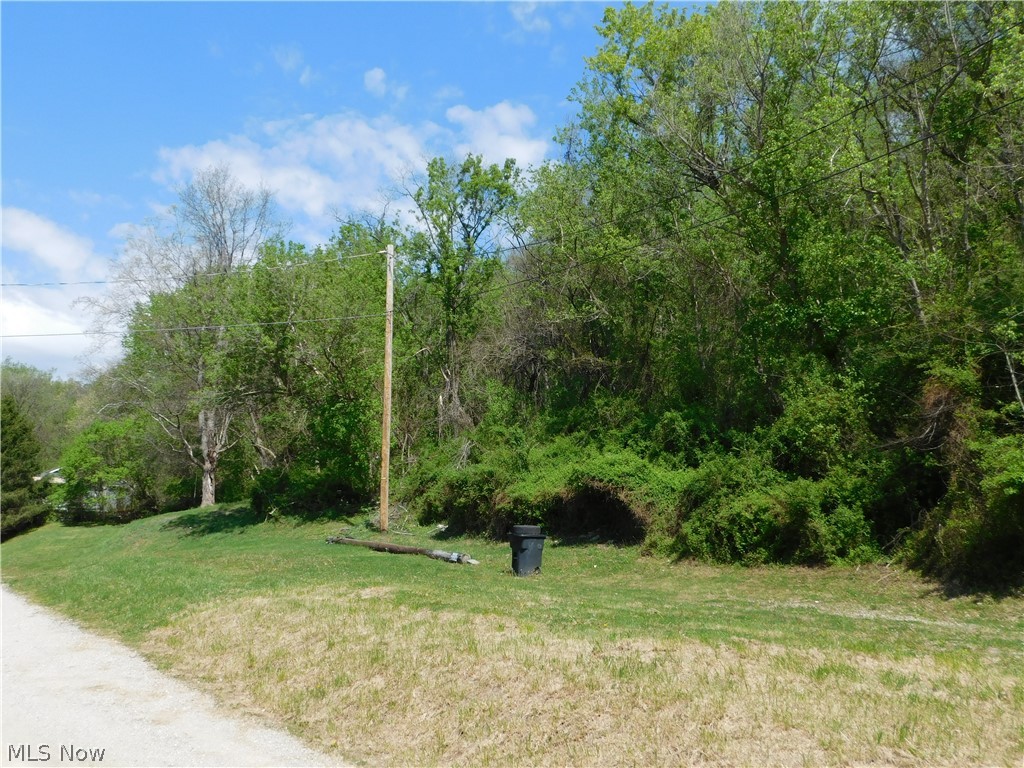 68250 Wrixon Road Bridgeport OH 43912