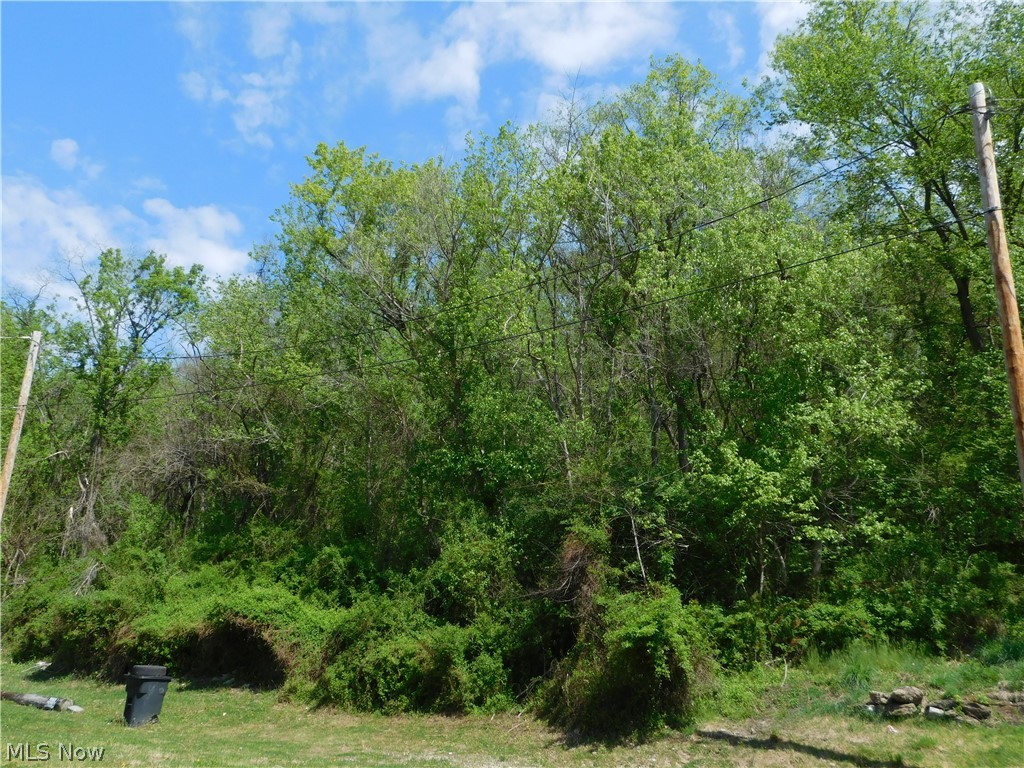 68250 Wrixon Road Bridgeport OH 43912