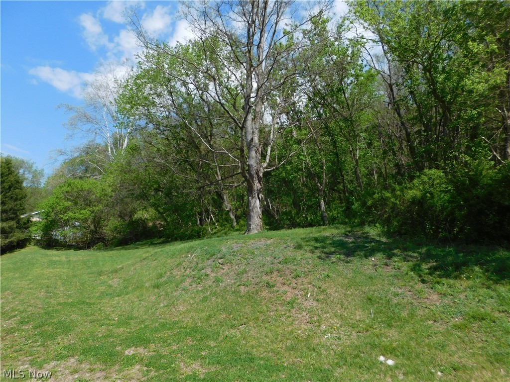 68250 Wrixon Road Bridgeport OH 43912