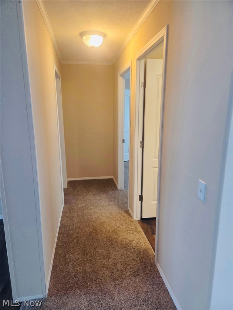 53 Zent Avenue Fredericktown OH 43019