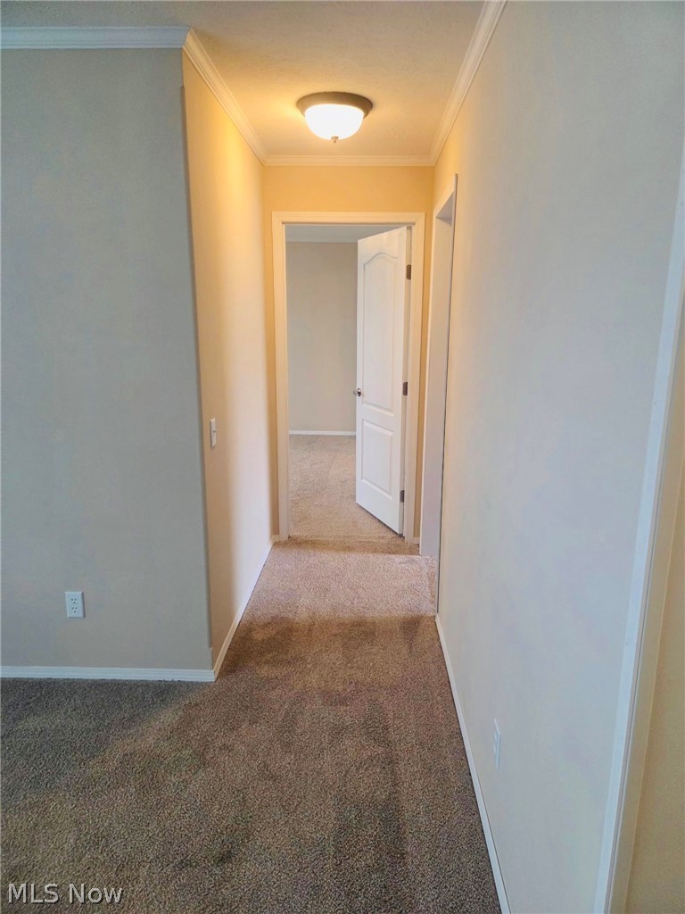 53 Zent Avenue Fredericktown OH 43019
