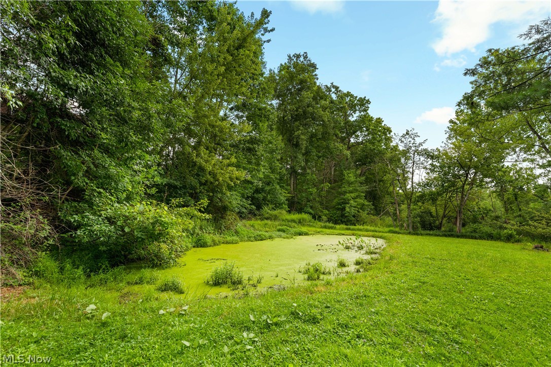 5587 Charleston Road Newton Falls OH 44444