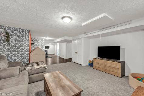 7973 Skyline Drive Broadview Heights OH 44147