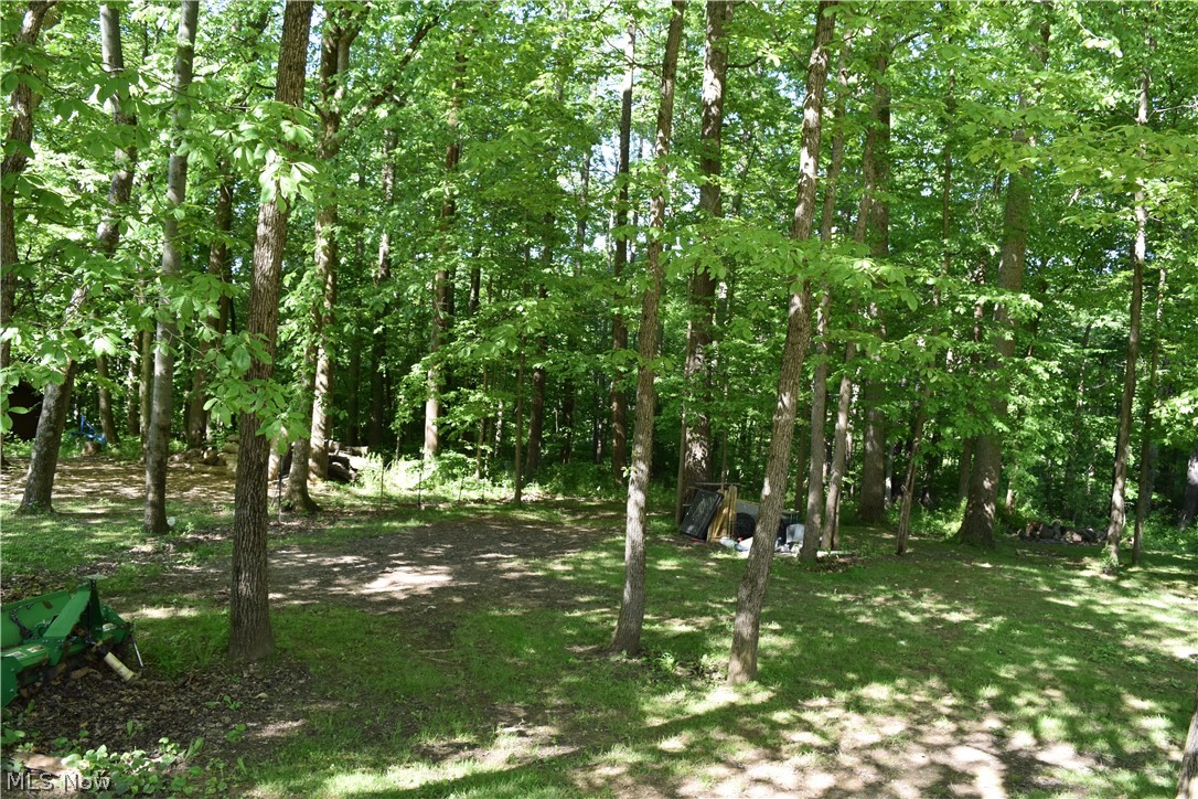 205 Stratton Lane Flushing OH 43977