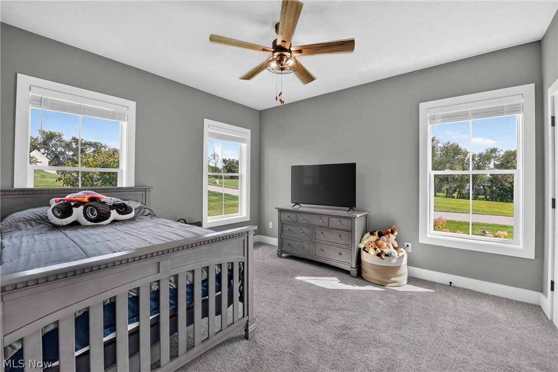 4724 Braxton Lane Wooster OH 44691