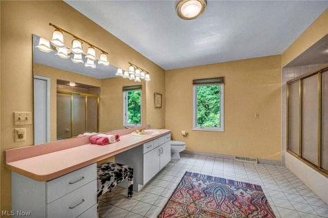 150 Sterncrest Drive Moreland Hills OH 44022