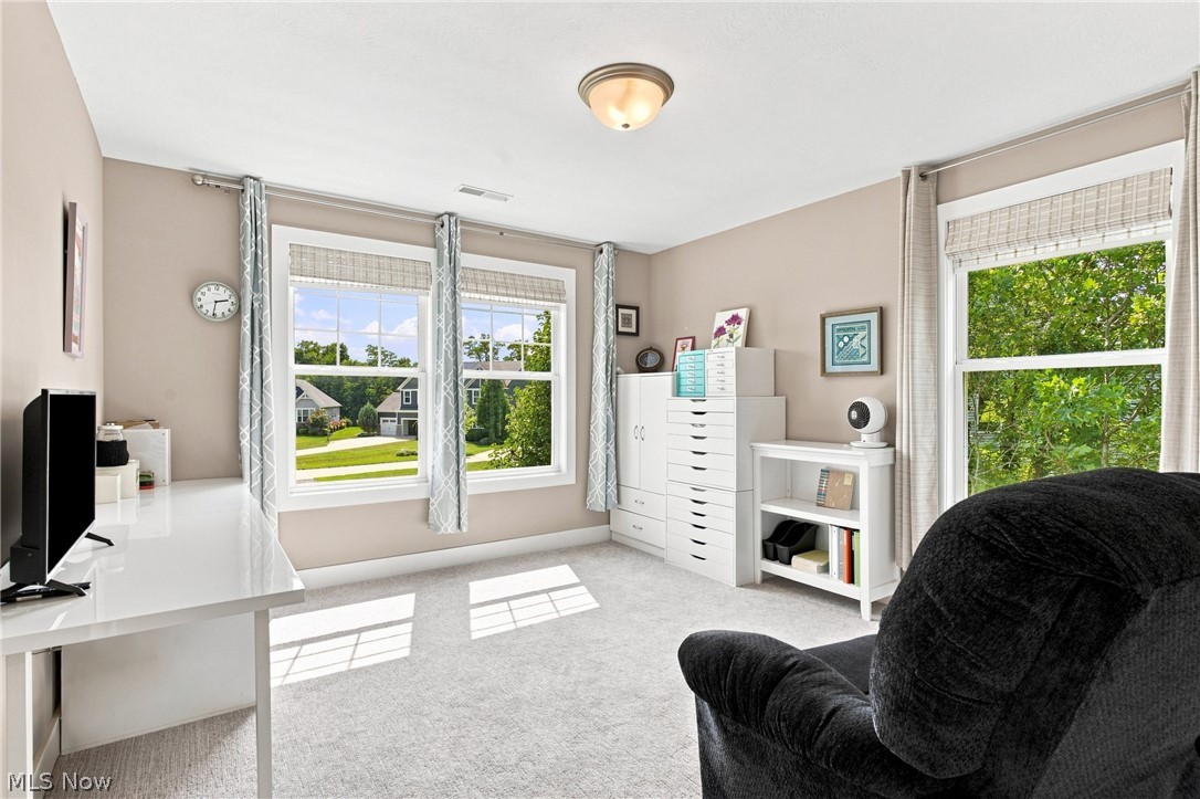6487 Horizon Drive Valley City OH 44280
