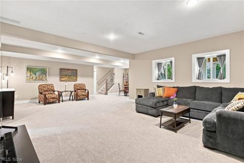 6487 Horizon Drive Valley City OH 44280
