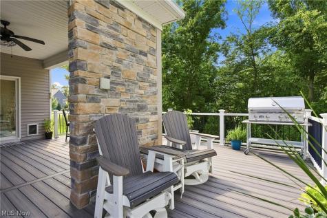 6487 Horizon Drive Valley City OH 44280