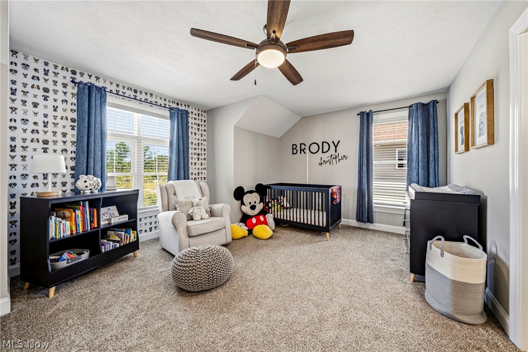 587 Magnolia Court Mayfield OH 44143