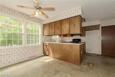 2218 Croydon Road Twinsburg OH 44087