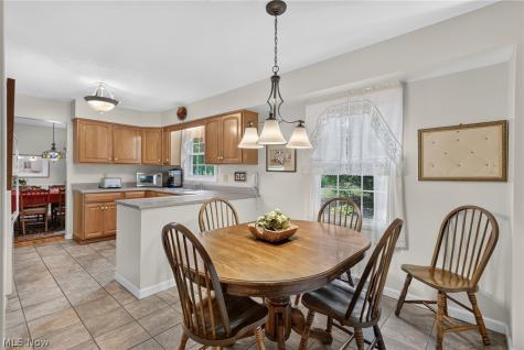 544 Treeside Drive Stow OH 44224