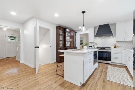 1124 Hillrock Drive South Euclid OH 44121