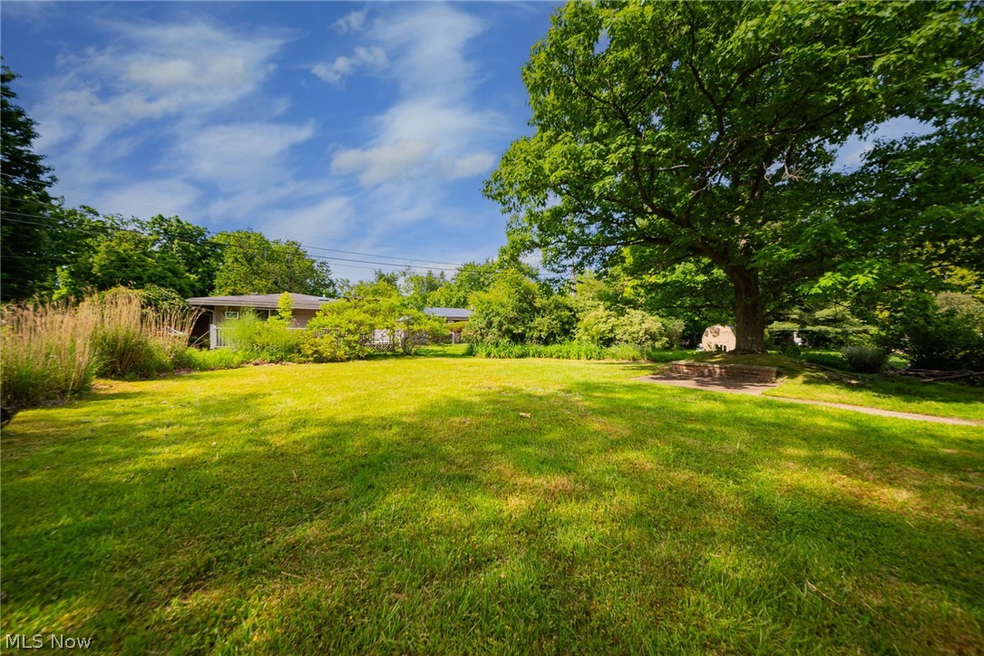 5294 Dogwood Trail Lyndhurst OH 44124