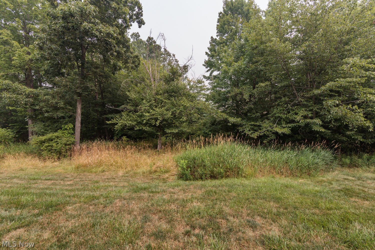 141 Fenwick Drive Brunswick OH 44212