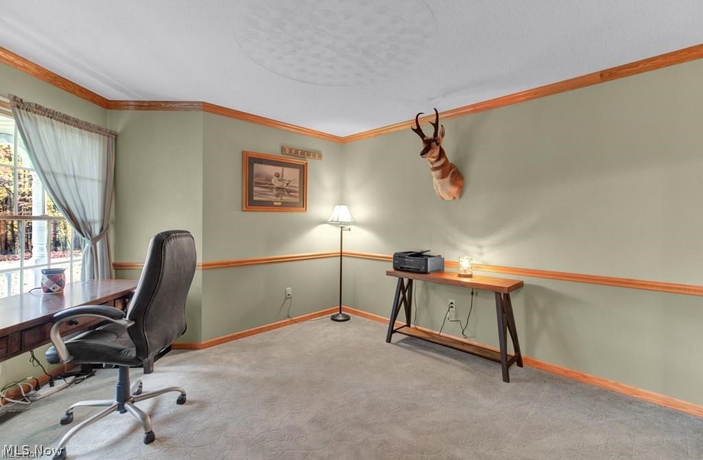 27 Latonka Trail Malvern OH 44644