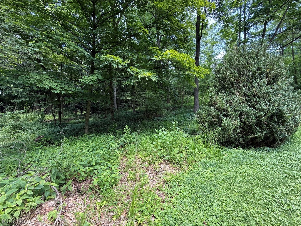 126 Stony Creek Drive Millersburg OH 44654