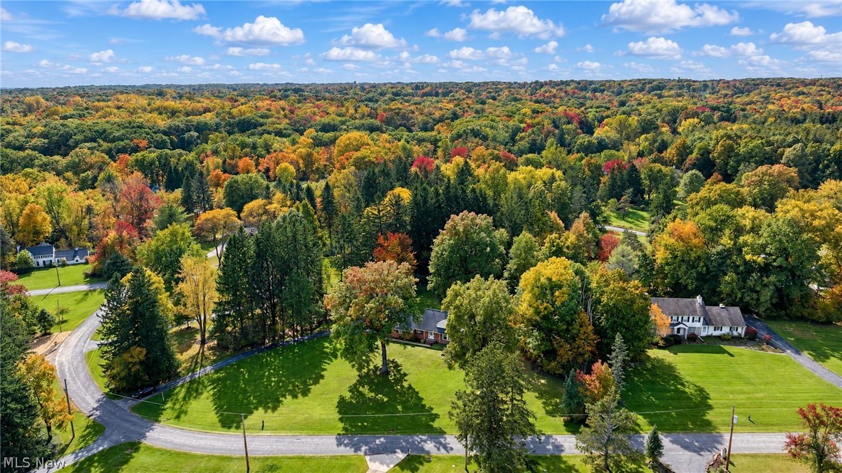 115 Mill Hollow Drive Moreland Hills OH 44022
