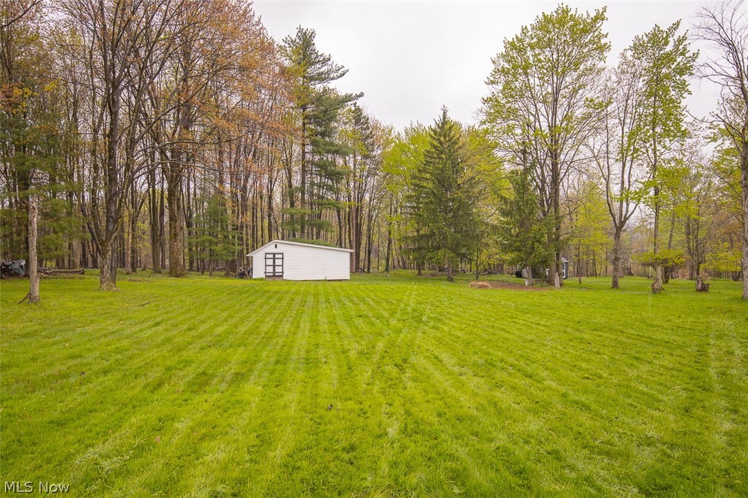 18810 Dellwood Drive Walton Hills OH 44146