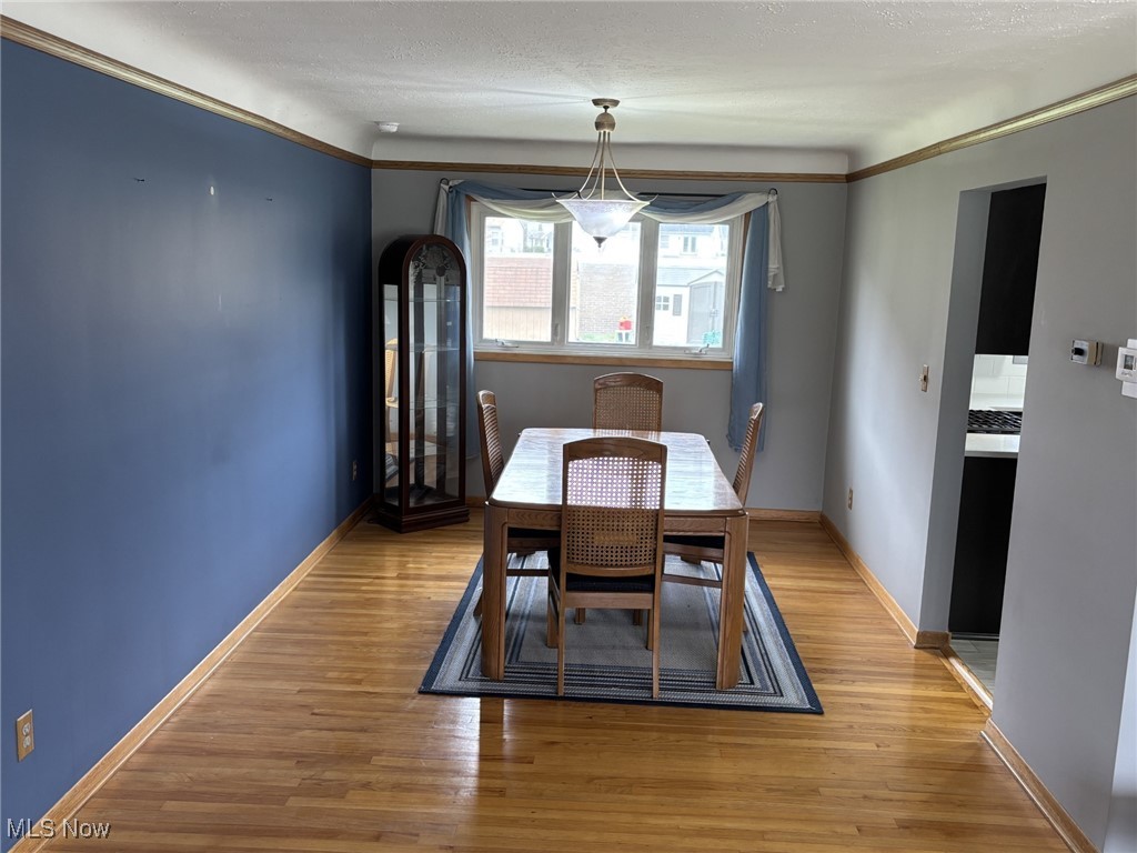 6975 Anthony Lane Parma Heights OH 44130