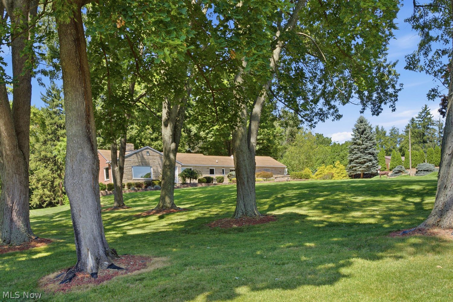3105 Lake James Drive Akron OH 44312