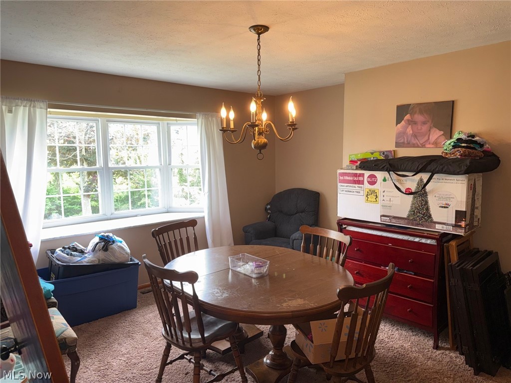 83 Watson Lane Belpre OH 45714