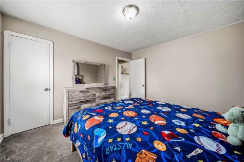316 E 327th Street Willowick OH 44095