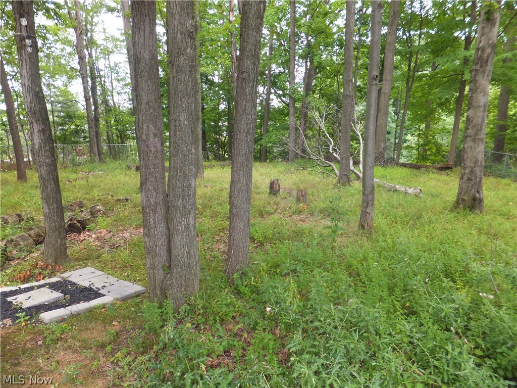 3041 Belmont Drive Brooklyn Heights OH 44131