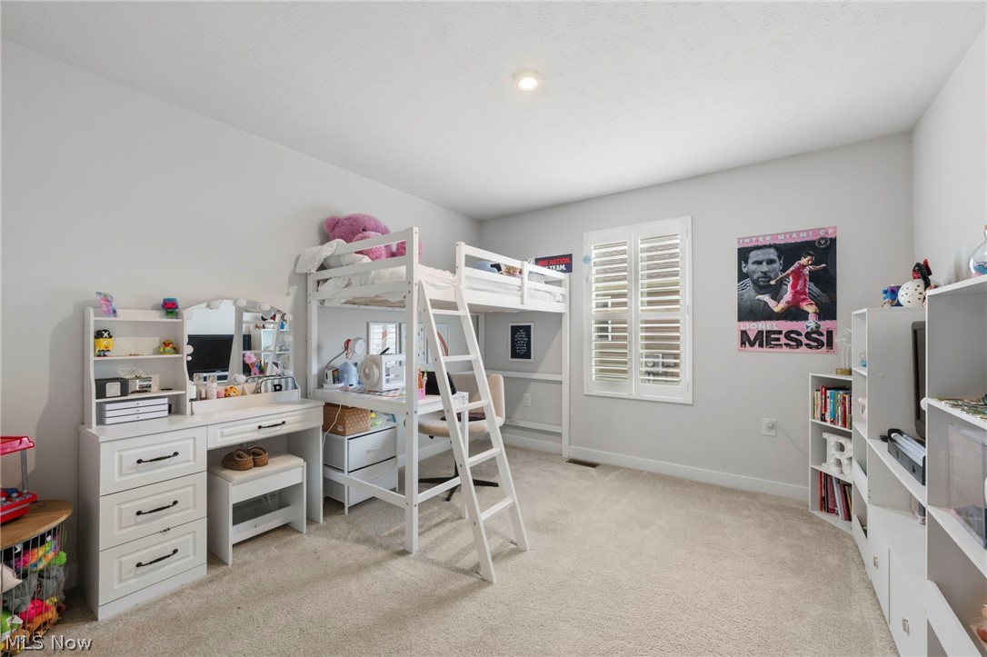 4149 Hidden Village Drive Perry OH 44081