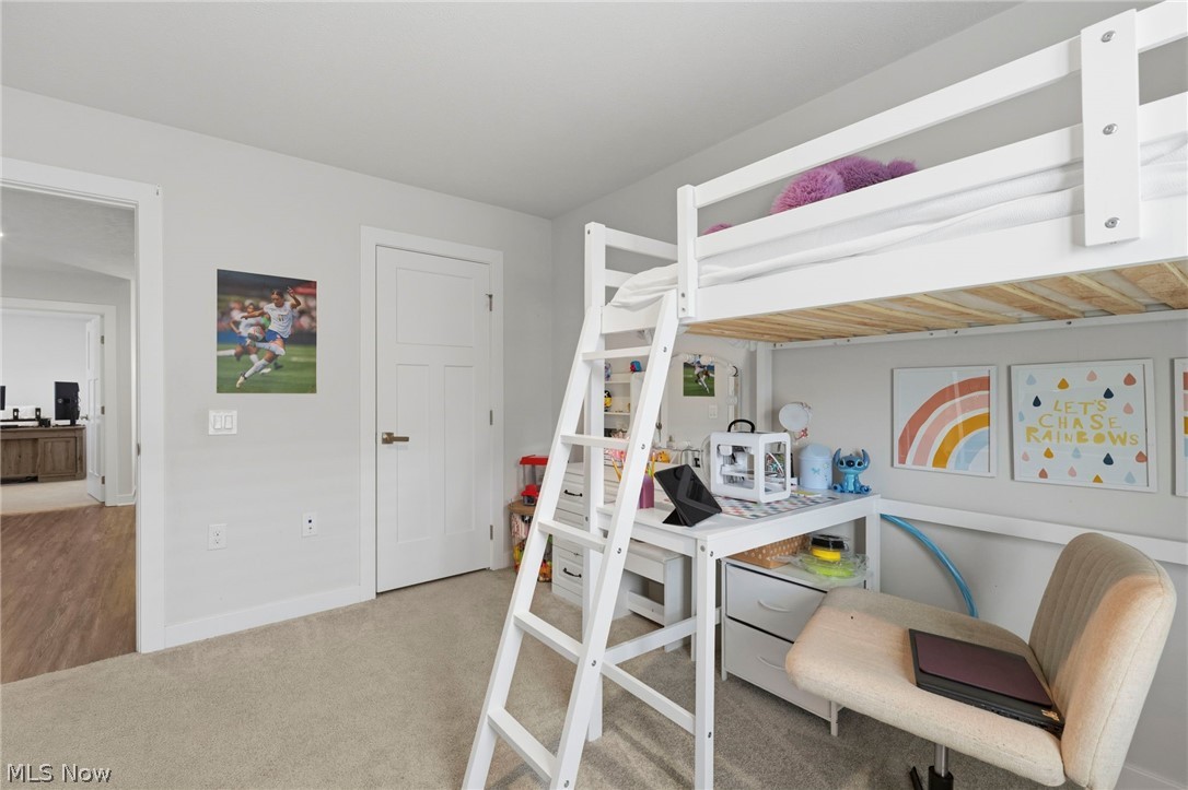 4149 Hidden Village Drive Perry OH 44081