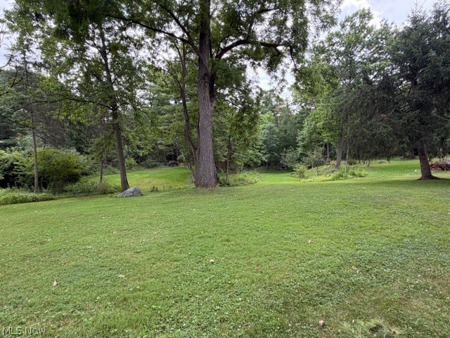 18646 Carmany Drive Walton Hills OH 44146