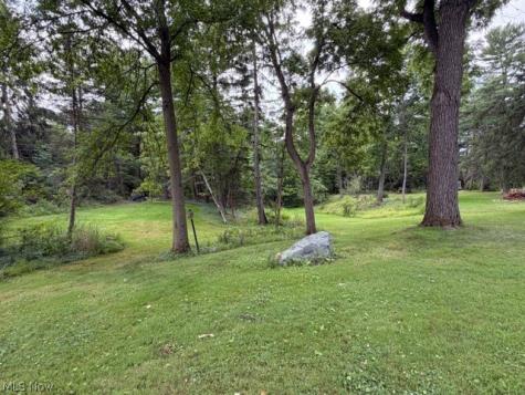 18646 Carmany Drive Walton Hills OH 44146
