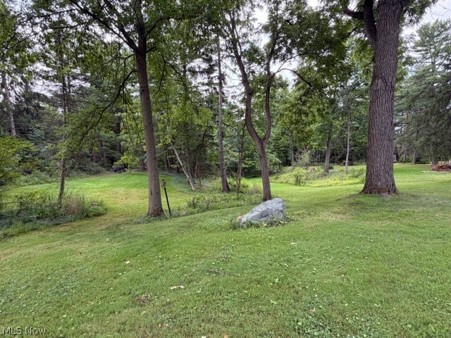 18646 Carmany Drive Walton Hills OH 44146