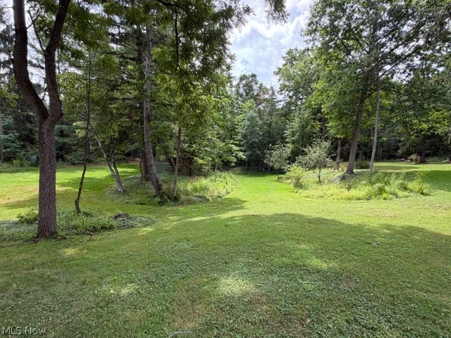 18646 Carmany Drive Walton Hills OH 44146