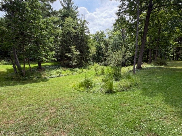 18646 Carmany Drive Walton Hills OH 44146