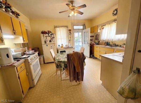 1025 S Freedom Avenue Alliance OH 44601