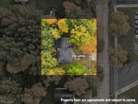 5523 Meadow Wood Boulevard Lyndhurst OH 44124