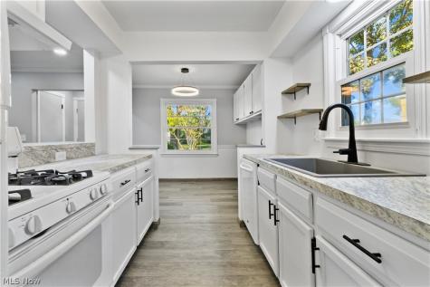 15711 Leigh Ellen Avenue Cleveland OH 44135