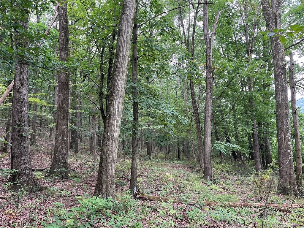 1368 Andora Road NE Carrollton OH 44615