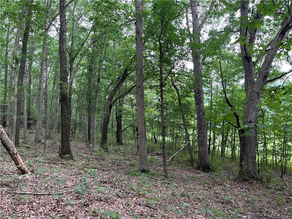 1368 Andora Road NE Carrollton OH 44615