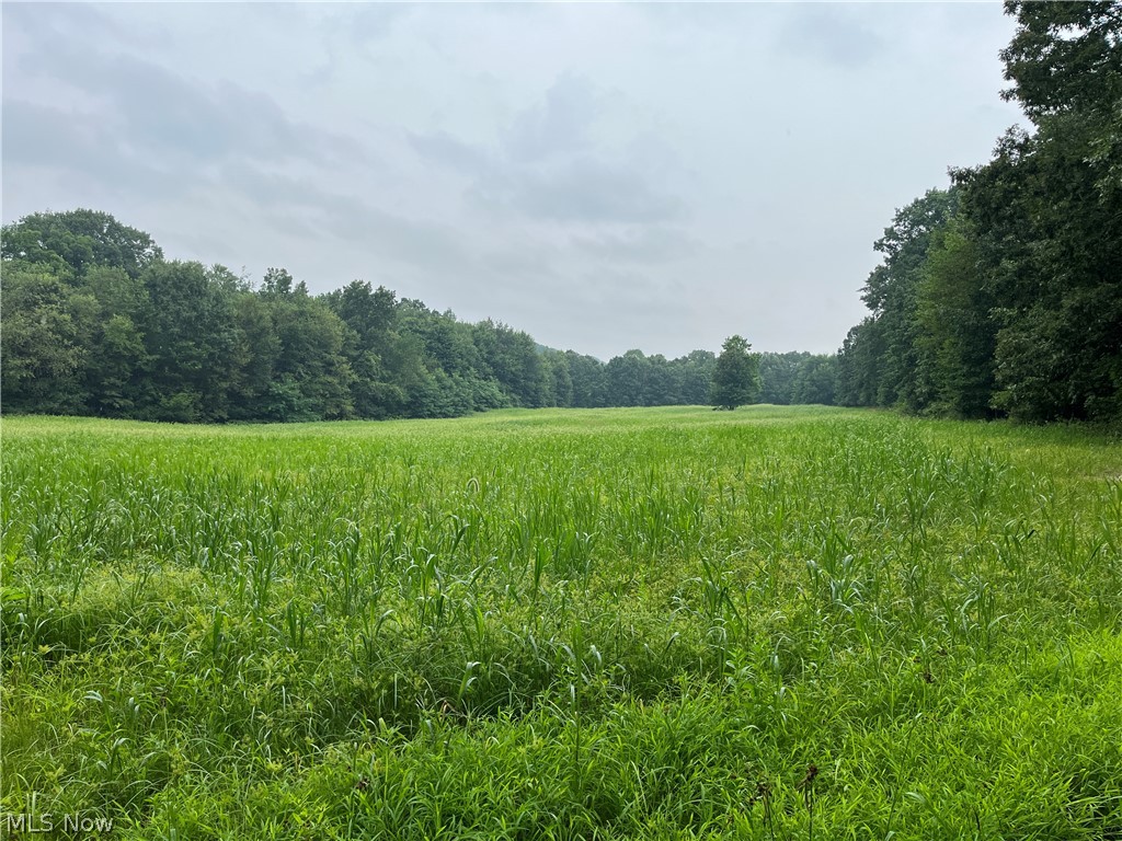1368 Andora Road NE Carrollton OH 44615