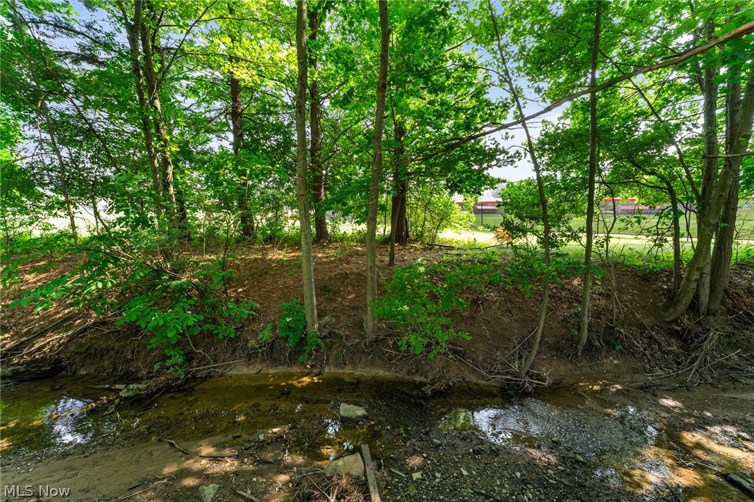 442 S Briarcliff Drive Canfield OH 44406