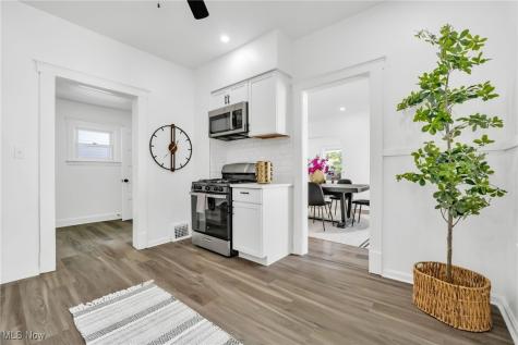 3147 W 84th Street Cleveland OH 44102