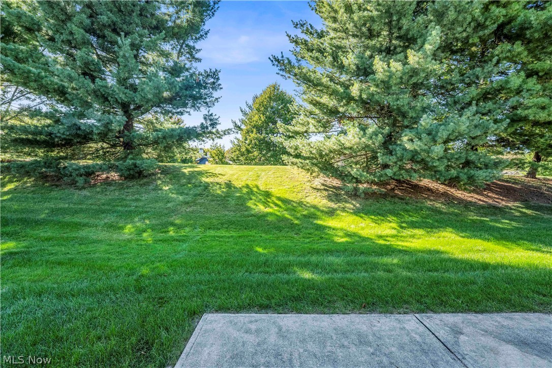 18376 Woodhaven Drive Strongsville OH 44149